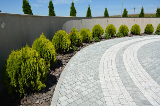 Reasons to Select Us for Your Driveway Paving Requirements in Murphy, MO